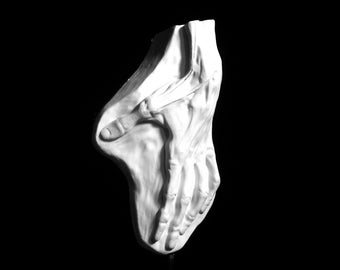May include: A white plaster sculpture of a hand, with fingers extended and palm facing down. The sculpture is set against a black background, with dramatic lighting highlighting the details of the hand.