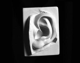Yeso de la oreja de David, escultura de oreja de Miguel Ángel, arte de pared italiano clásico blanco, fundición de dibujo fundido, hecho a mano por Nicholas H Wood