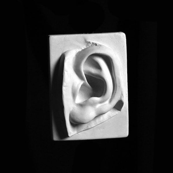 Moulage en plâtre d'une oreille de David, sculpture d'oreille de Michel-Ange, art mural italien classique blanc, moulage de dessin, fait main par Nicholas H Wood