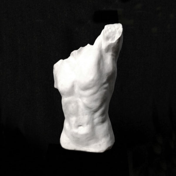 Torso Plaster Cast, Male Nude Sculpture, Handmade Original Sculpture by Nicholas H Wood.