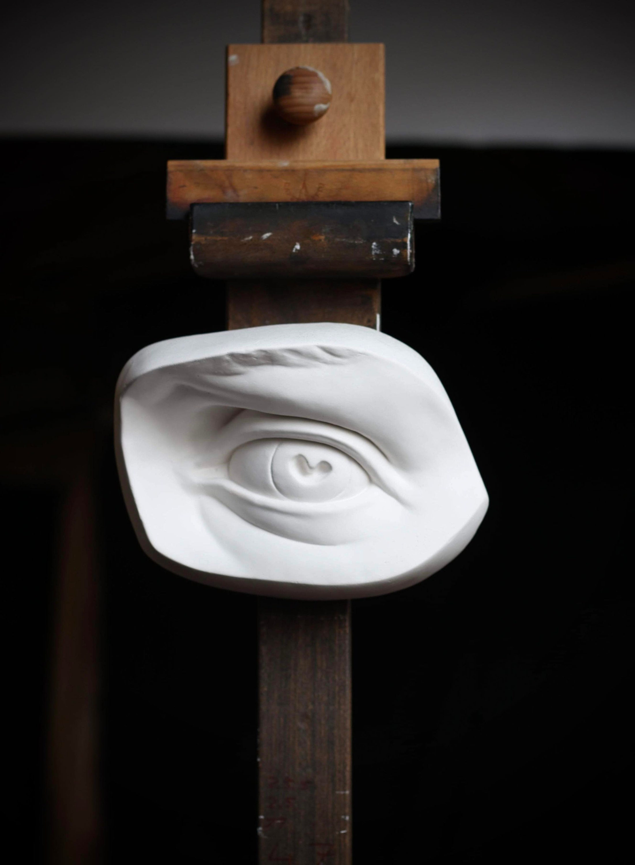 石膏像　ダヴィデの目　部分像　デッサン ミケランジェロのダビデ像の石膏像、目の彫刻。男性彫刻、室内