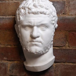 May include: A white plaster bust of a man's head, mounted on a brick wall. The sculpture features detailed facial features, including a furrowed brow, mustache, and beard. The head is a classical style sculpture.