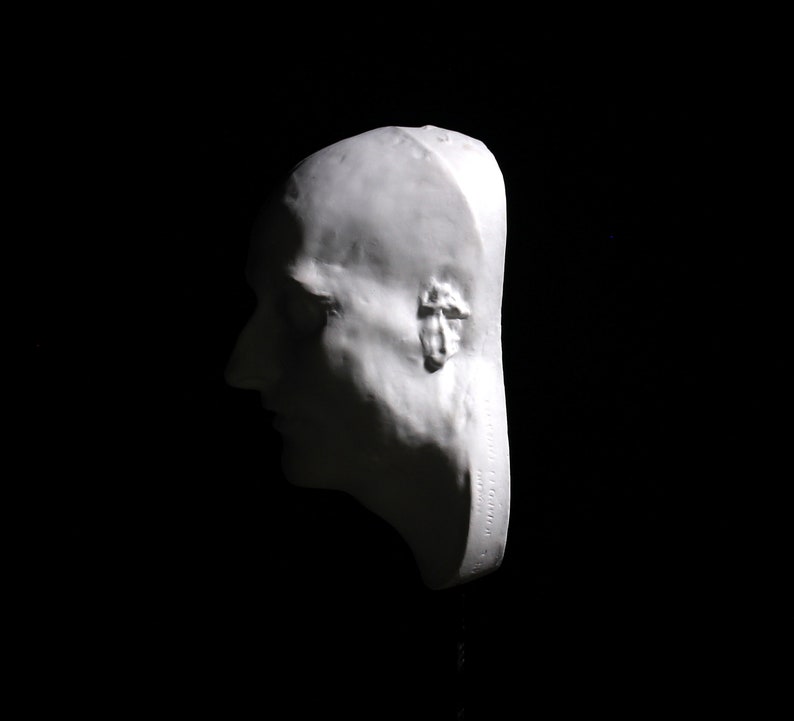 May include: A white plaster cast of a person's head, showing the profile of the face. The cast is detailed and shows the features of the face, including the nose, mouth, and ears.
