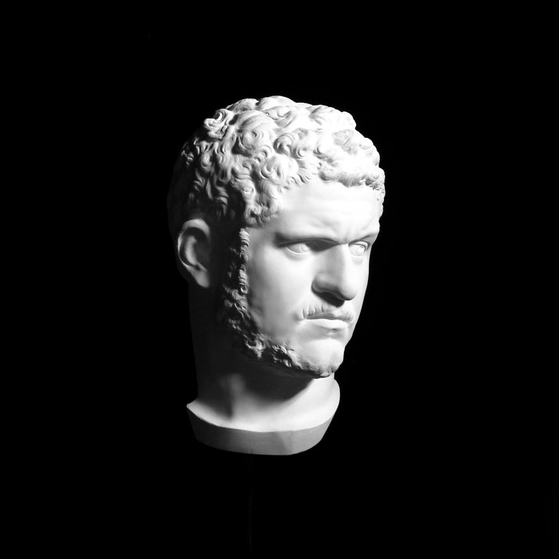 May include: A white plaster bust of a man with curly hair, a beard, and a mustache. The sculpture is set against a black background, with dramatic lighting highlighting the details of the face and hair. The bust is a classical art piece.