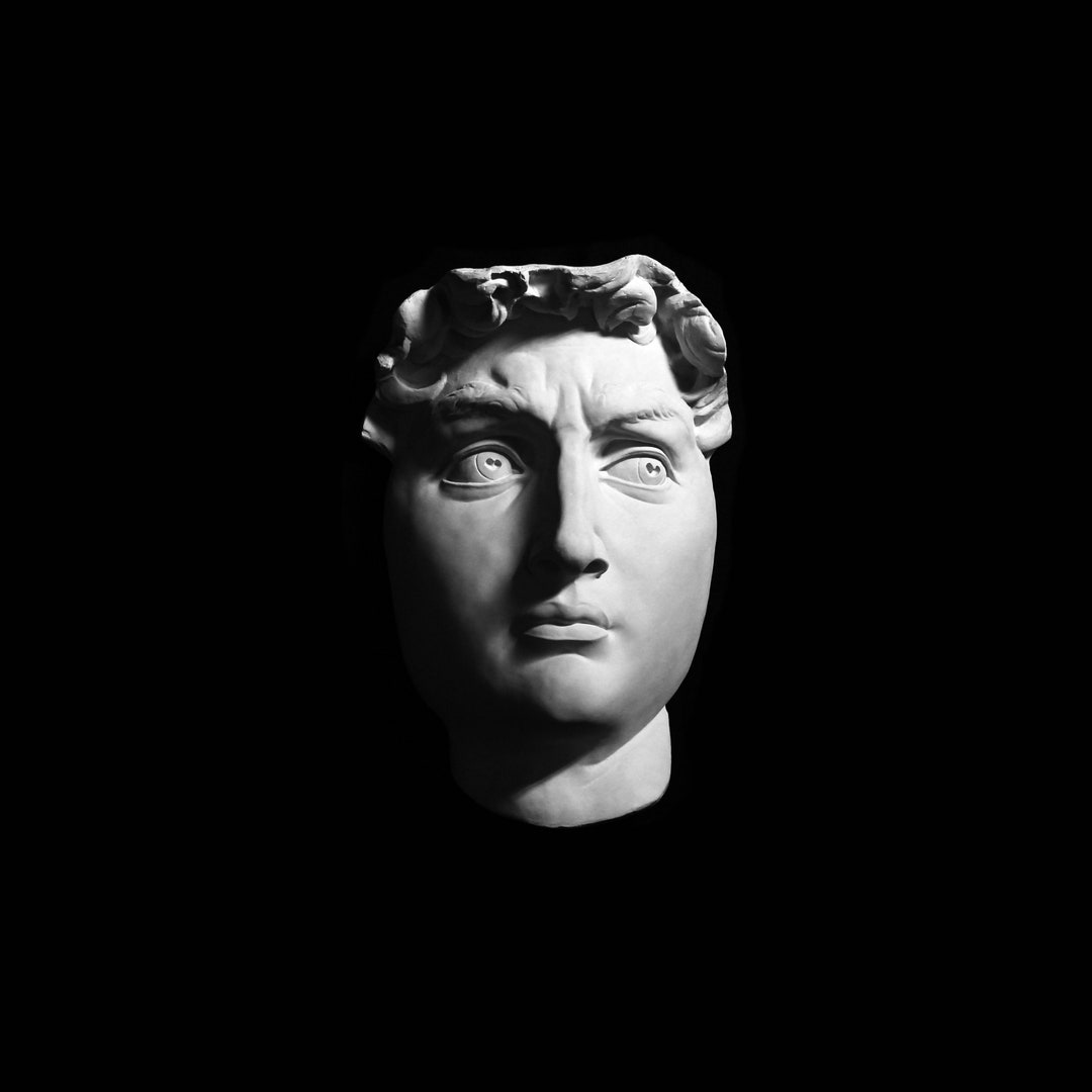 Lifesize Michelangelo's David Plaster Cast Huge Classical Etsy