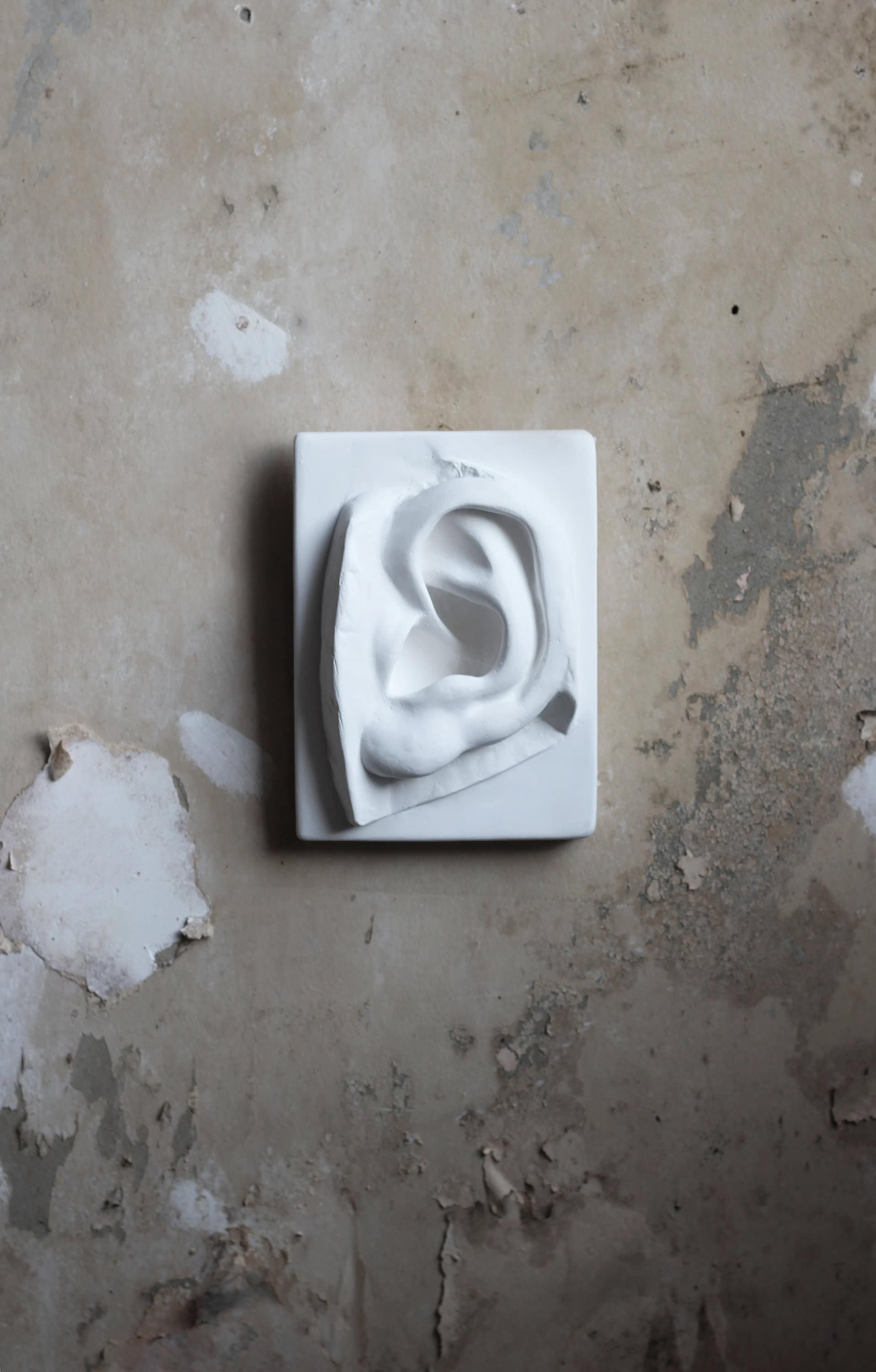 Plaster Cast of David's Ear, Michelangelo Ear Sculpture, White ...