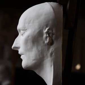 May include: A white plaster cast of a person's face, viewed from the side. The cast is mounted on a wooden easel.