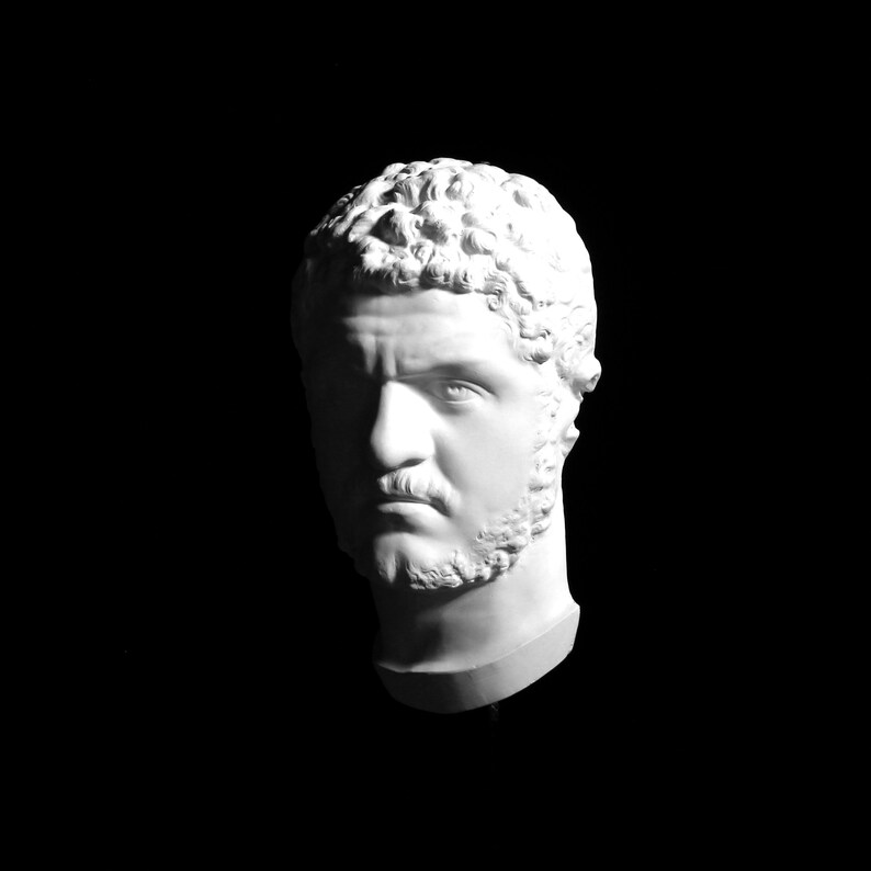 May include: A white plaster bust of a man with a beard and curly hair, set against a black background. The sculpture is lit from above, creating dramatic shadows that highlight the facial features and texture of the plaster.