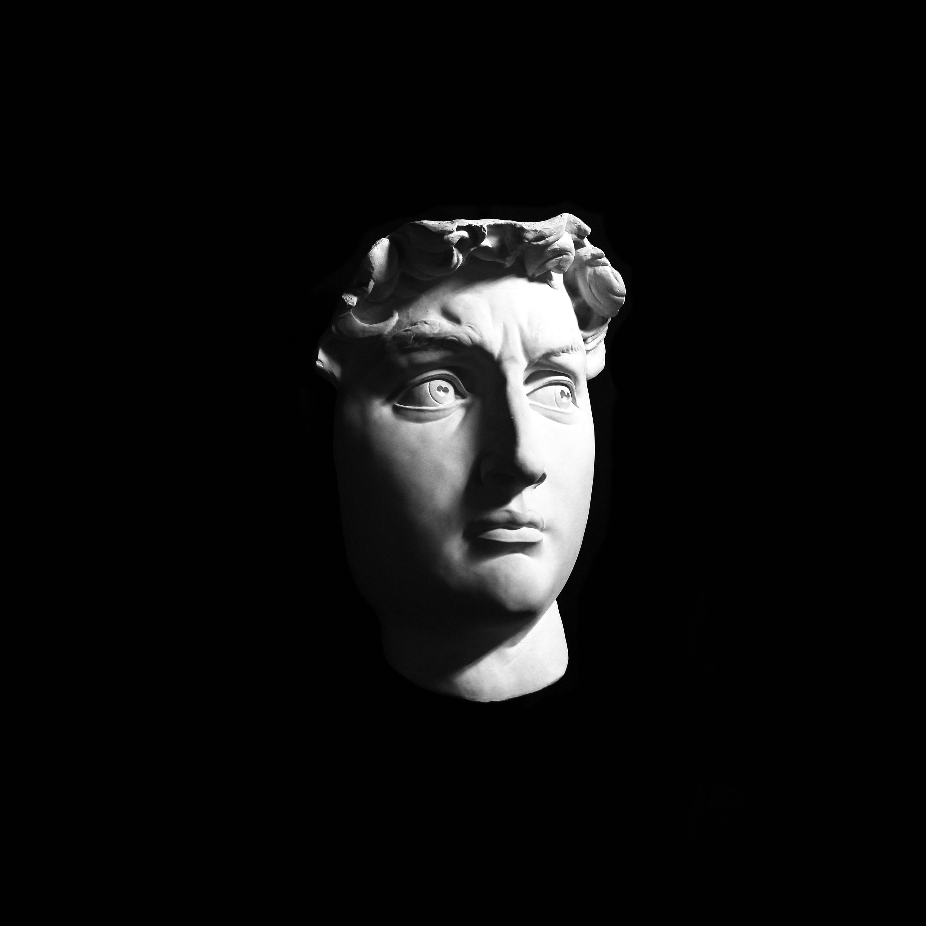 石膏像 メディチ 胸像 ダビデ像 古代ギリシャ ミケランジェロ デッサン 石膏像 メディチ 胸像 ダビデ像 古代ギリシャ ミケランジェロ