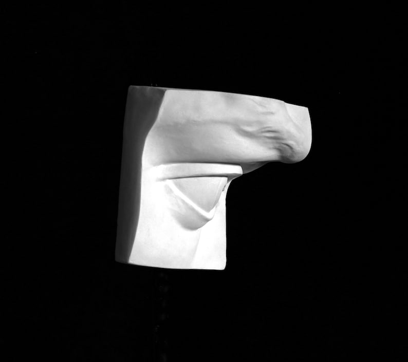 Plaster Cast of Michelangelo's David Eye Sculpture. Male Etsy