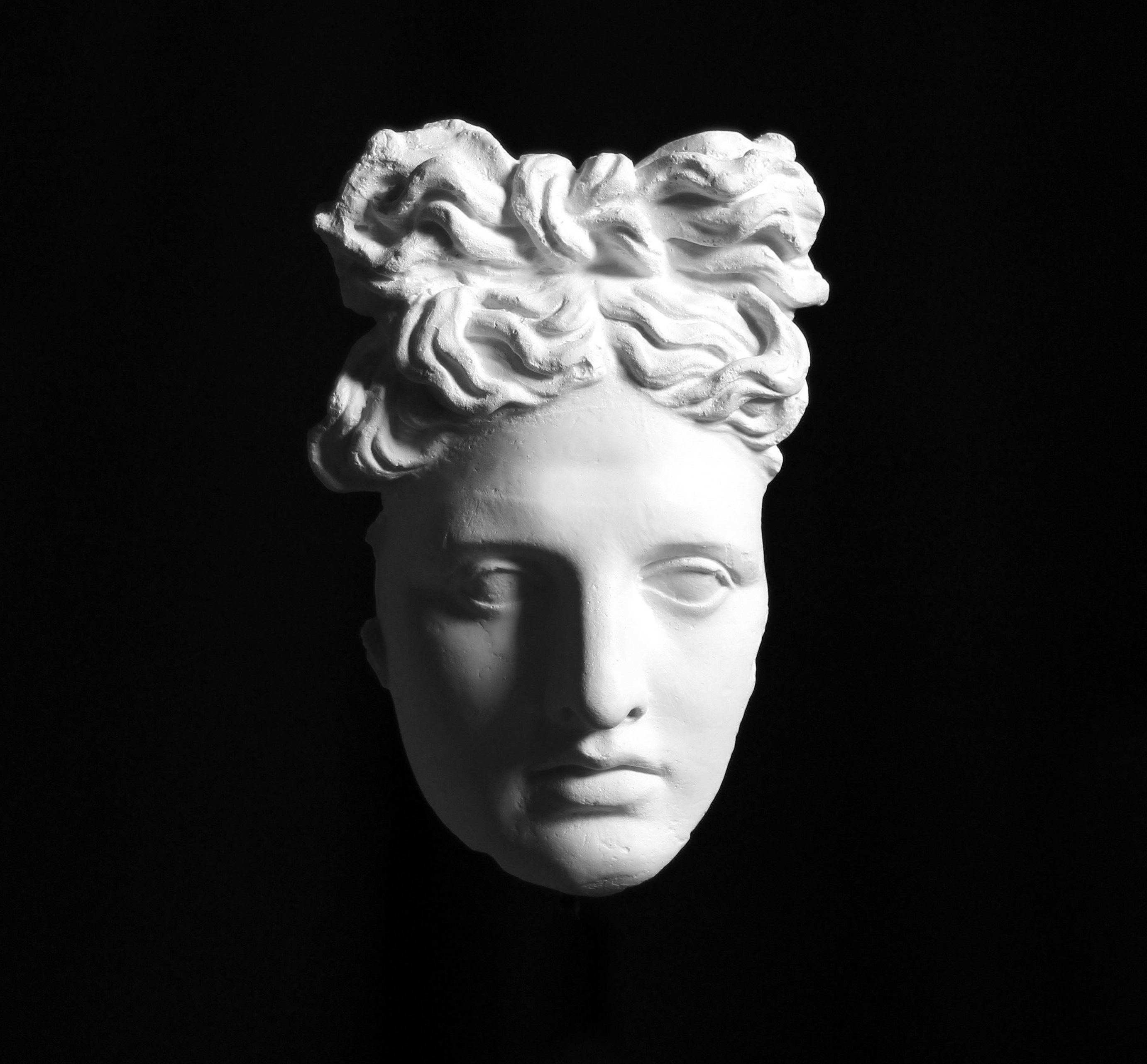 アポロ ベルヴェデーレ 石膏像、ローマの壁画彫刻 - Etsy 日本