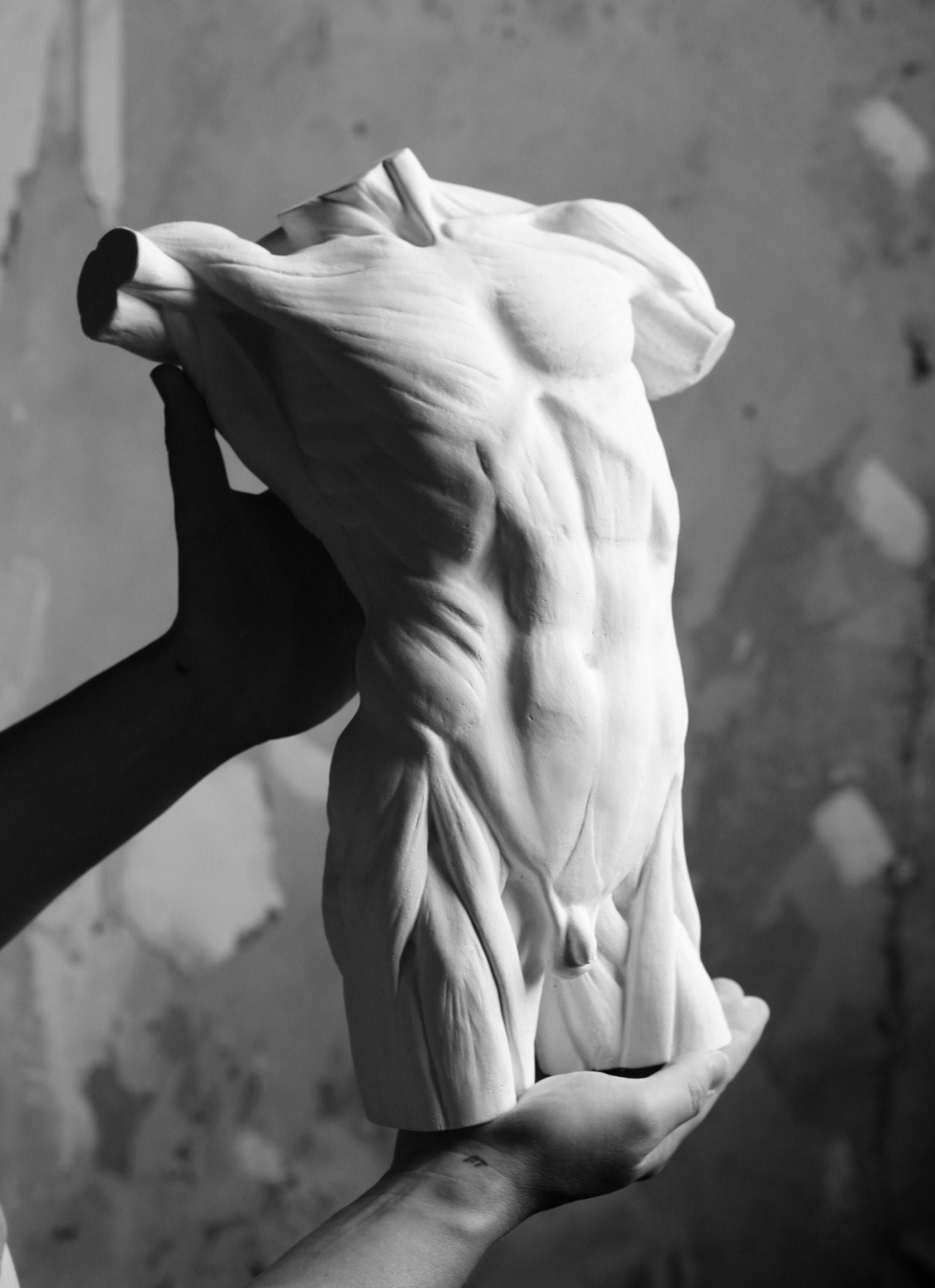 エコルシェ男性トルソー、石膏像彫刻、解剖図キャスト - Etsy 日本