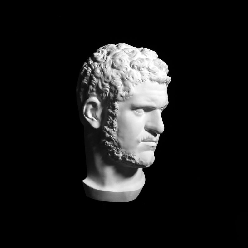 May include: A white plaster bust of a man with curly hair, a beard, and a mustache, set against a black background. The sculpture is lit from the side, creating shadows that emphasize the details of the face.