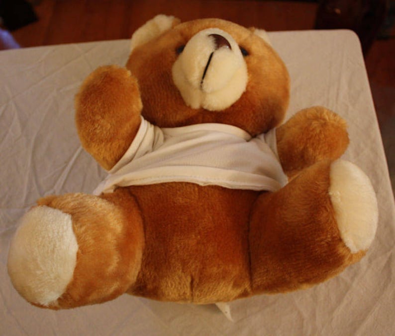 Vintage Teddy Bear Wearing White T-Shirt image 2