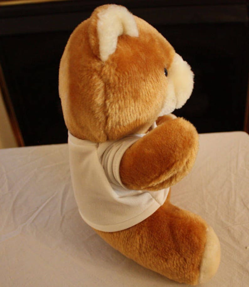 Vintage Teddy Bear Wearing White T-Shirt image 5