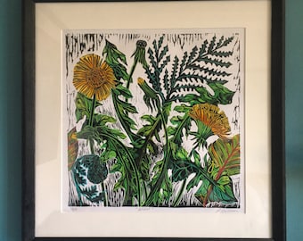 Wild Dandelion