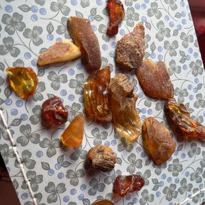Könnte beinhalten: Eine Sammlung roher Bernsteinstücke in verschiedenen Orange-, Gelb- und Brauntönen, die von durchscheinenden bis zu undurchsichtigen Texturen reichen, zusammen mit einer kupferfarbenen 5-Cent-Münze als Größenvergleich auf einem kleingemusterten Untergrund.