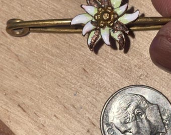 brass EDELWEISS brooch pin Alpine Good luck Love charm 3”