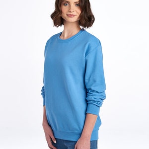May include: A light blue sweatshirt with a crew neck.