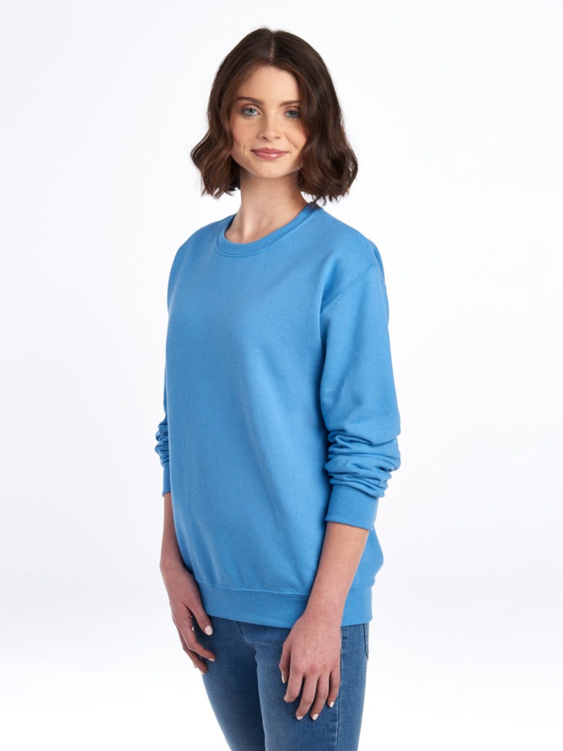 May include: A light blue sweatshirt with a crew neck.