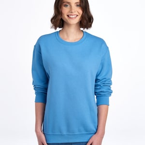 May include: A light blue sweatshirt with a crew neck.