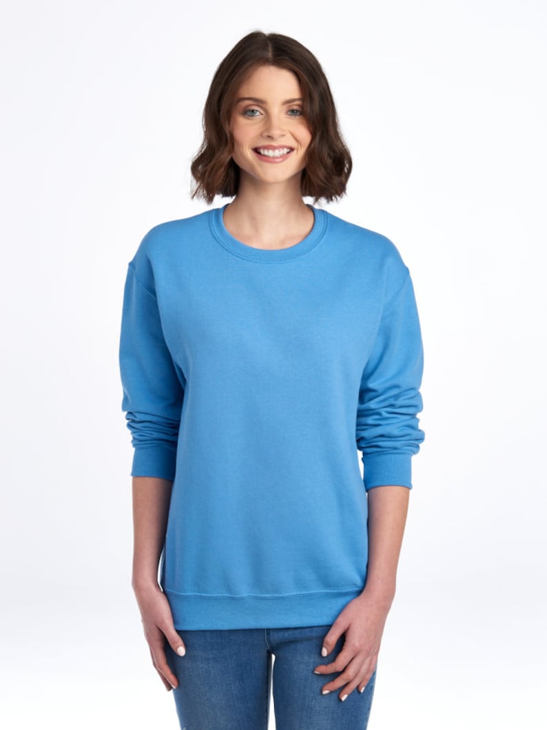 May include: A light blue sweatshirt with a crew neck.