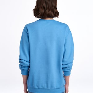 May include: A light blue sweatshirt with long sleeves and a crew neck.