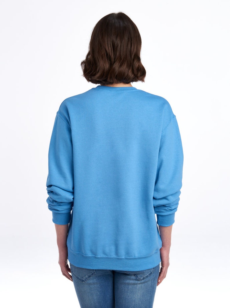 May include: A light blue sweatshirt with long sleeves and a crew neck.