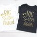New Little Sister, Big Sister Finally, Big Sister Again, Baby Shower Gift, Promoted To Big Sister, Matching Sibling Shirt 