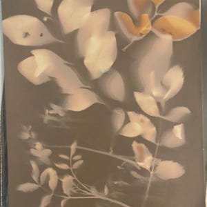 May include: A botanical print showing leaves in white, cream, and gold against a dark brown backdrop. The leaves have a soft, ethereal quality, with delicate veins visible. The print evokes a sense of nature and tranquility, suitable for home decor.