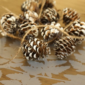 May include: A string of white-painted pine cones tied together with twine. The cones are arranged in a circular pattern and are on a wooden surface.