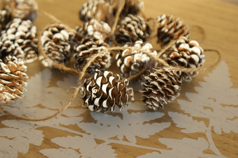 May include: A string of white-painted pine cones tied together with twine. The cones are arranged in a circular pattern and are on a wooden surface.