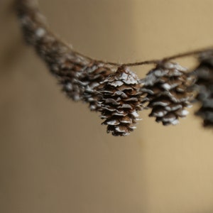 May include: A string of pine cones, painted white, hangs against a beige background. The pine cones are arranged in a garland.