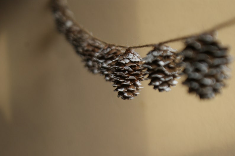 May include: A string of pine cones, painted white, hangs against a beige background. The pine cones are arranged in a garland.