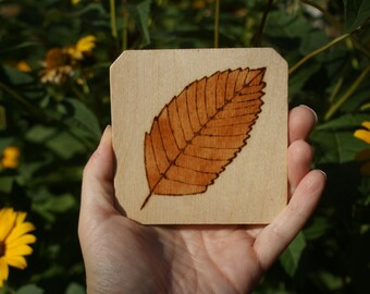 fall coasters, fall decoration, rustic fall decor, wooden coasters, autumn decor, rustic fall coasters, rustic coasters, leaf decor