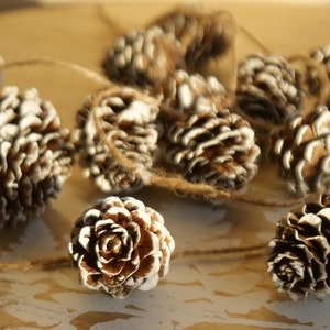 May include: A string of white-painted pine cones tied together with twine. The cones are arranged in a circular pattern and have a rustic, natural look.