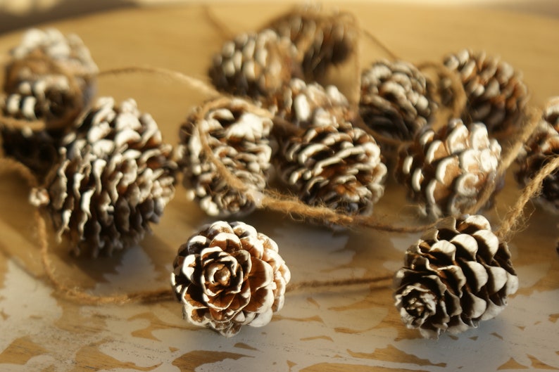 May include: A string of white-painted pine cones tied together with twine. The cones are arranged in a circular pattern and have a rustic, natural look.
