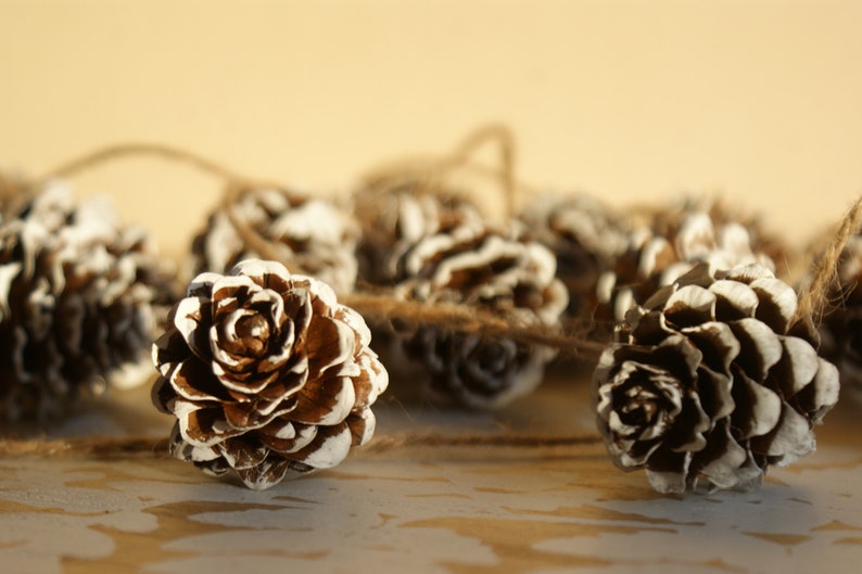 May include: A string of white and brown pine cones tied together with twine. The pine cones are arranged in a row and are all facing the same direction.