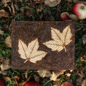 May include: A dark brown wooden box with two white leaf designs burned into the surface. The box is surrounded by fallen leaves and red apples.