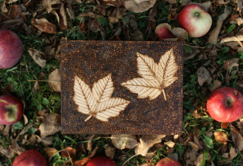 May include: A dark brown wooden box with two white leaf designs burned into the surface. The box is surrounded by fallen leaves and red apples.