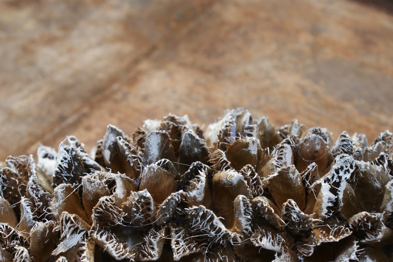 Rustic Christmas wreath, cones Christmas decoration, boho wreath, natural wreath, rustic wreath, cones wreath, door wreath, table wreath image 3