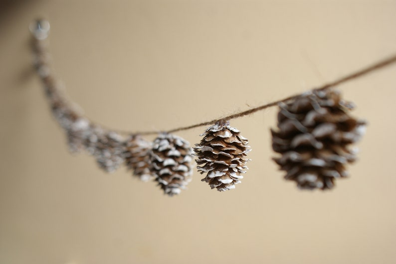 May include: A string of brown pine cones with white paint accents, hanging from a twine string against a beige background.