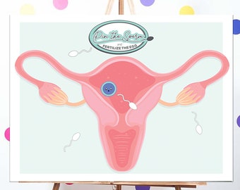 The diagram shows the female reproductive system. what structure is indicated by the arrow?
