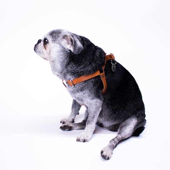 etsy dog harness