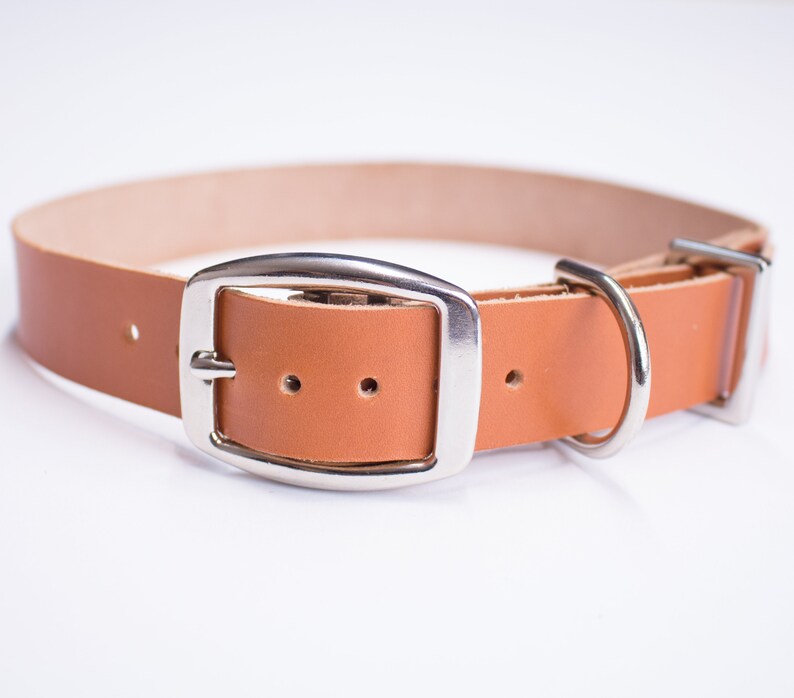 etsy leather dog collar
