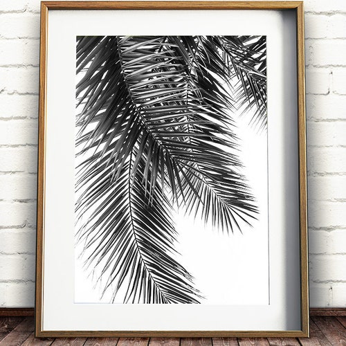Black and White Palm Tree Print Tropical Print Palm Tree Etsy Australia
