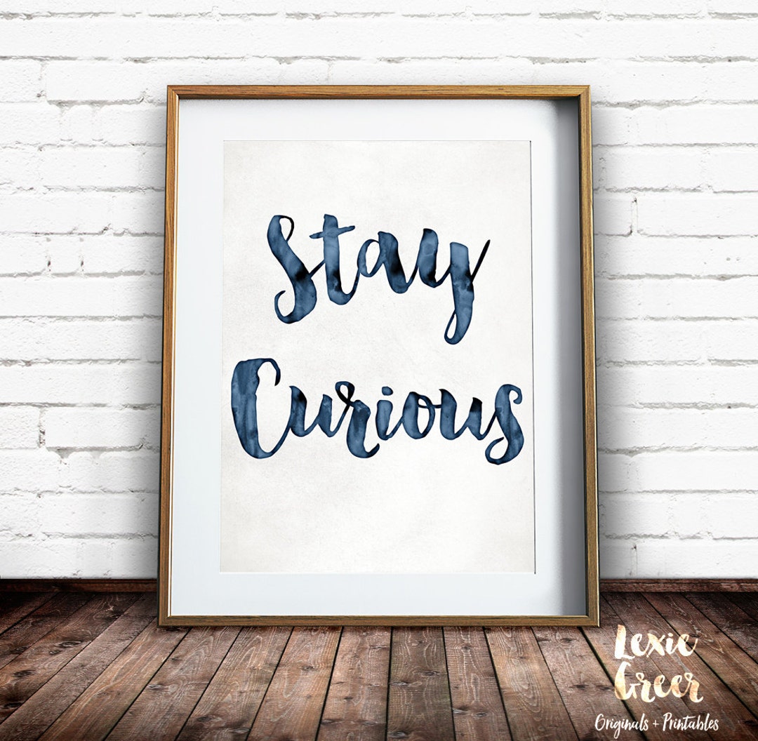 stay curious travel