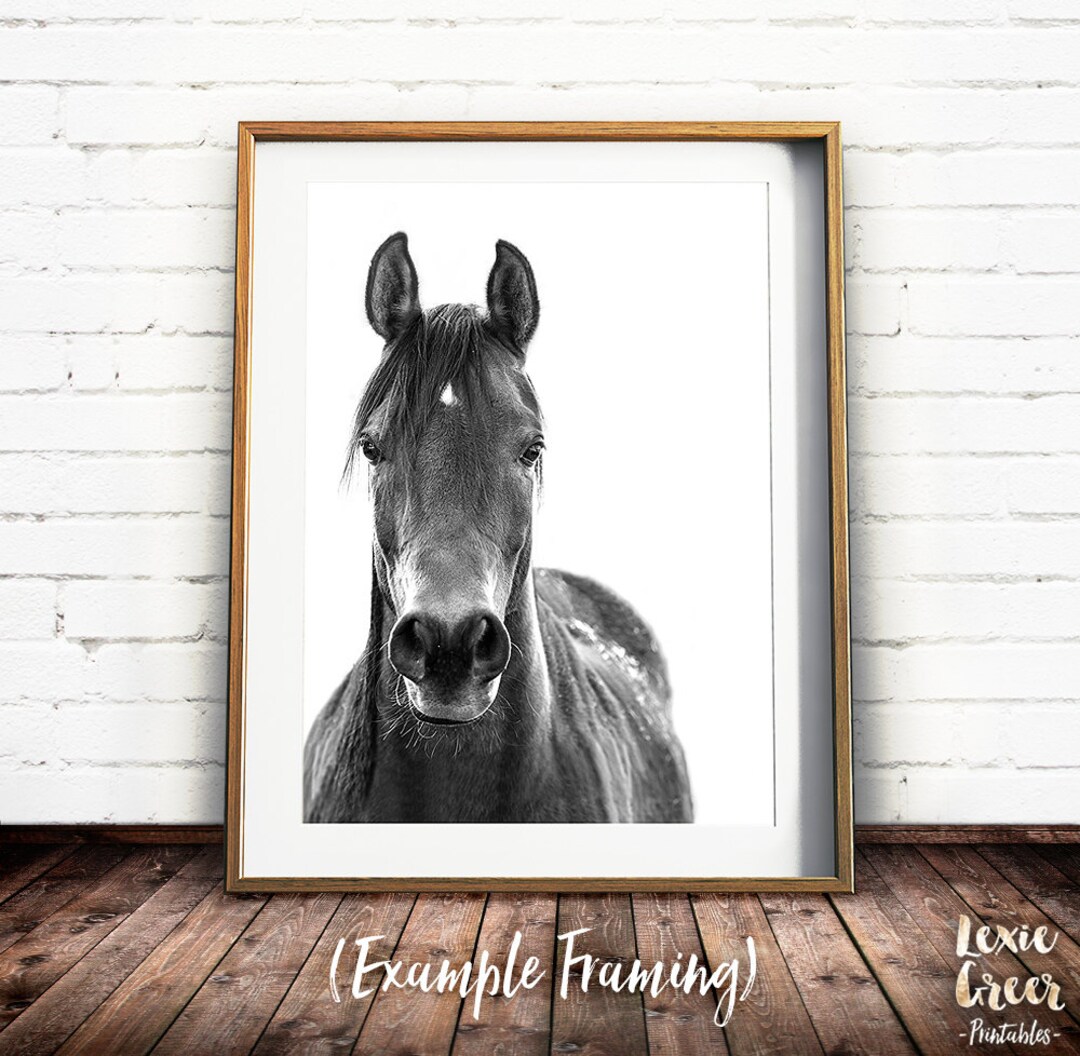 Black and White Horse Print, Horse Photo, Horse Poster, Equine Print ...