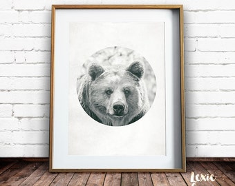 Bear Print, Woodland Animals Print, Bear Photo, Woodlands Print, Grizzly Bear, Black and White Animal Print, Nursery Print, Printable Art