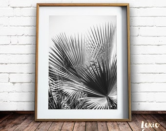 Black and White Palm Tree Print, Tropical Print, Palm Tree Print, Palm Leaves, Fan Palm, Black and White Photo, Leaves Print, Printable Art